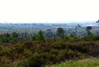 Suggested Dog Walk for the weekend. Canford Heath Nature Reserve, Poole …