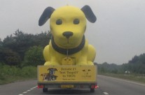 Followed this very large Dog on the A31! Great advertising for Dogs Trust!