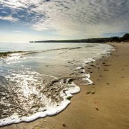 What to do this Sunday … Low Tide Day at Studland Beach, Studland. Dogs welcome on a lead.