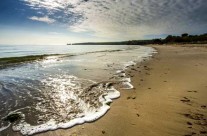 What to do this Sunday … Low Tide Day at Studland Beach, Studland. Dogs welcome on a lead.