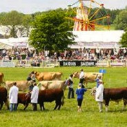 Ideas for this Weekend, The Royal Bath & West Show! Last Day Saturday 4th …