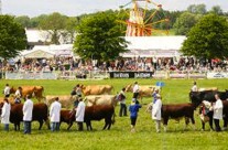 Ideas for this Weekend, The Royal Bath & West Show! Last Day Saturday 4th …