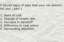 Dog Tip for Today! 5 secret signs that your Vet doesn’t tell you …