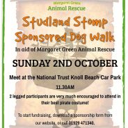 Something to do this weekend! Sunday 2nd October join the Studland Stomp Sponsored Dog Walk (Dorset)