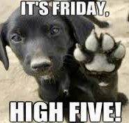 Dog Picture to make you Smile! It’s Friday, High Five!