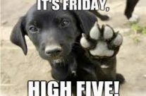 Dog Picture to make you Smile! It’s Friday, High Five!