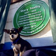 Battersea Dogs and Cats Home commemorated Mary Tealby ….