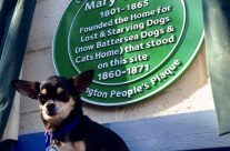 Battersea Dogs and Cats Home commemorated Mary Tealby ….