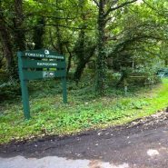 Air rifle shot ‘narrowly missing the head of the dog walker’ at local nature spot