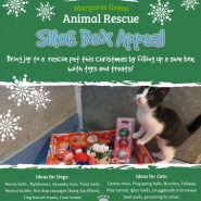 Margaret Green Animal Sanctuary launch their Christmas Shoe Box Appeal 2016