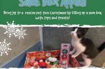 Margaret Green Animal Sanctuary launch their Christmas Shoe Box Appeal 2016