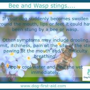 Dog health tip for Today! Bees and Wasp stings …