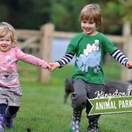 This coming weekend, Sunday 7th May. Animal festival Day. Hosted by Kingston Maurward Gardens & Animal Park