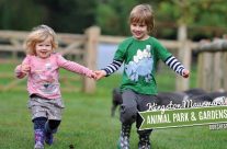 This coming weekend, Sunday 7th May. Animal festival Day. Hosted by Kingston Maurward Gardens & Animal Park