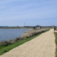 Suggested Dog Walk for today! Longham Lakes, Ringwood Road, Ferndown …