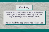 Dog Tip for Today! Vomiting.